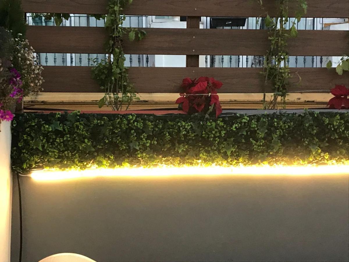 Dreamsapt Plaza Nueva — Photos 3